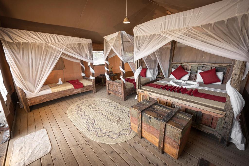 Acacia Campsite - Lake Natron