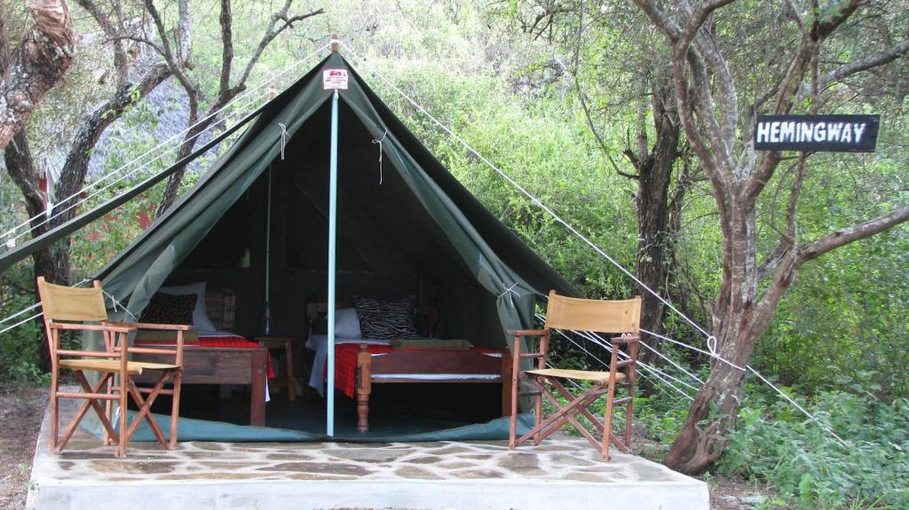 Simba Camp
